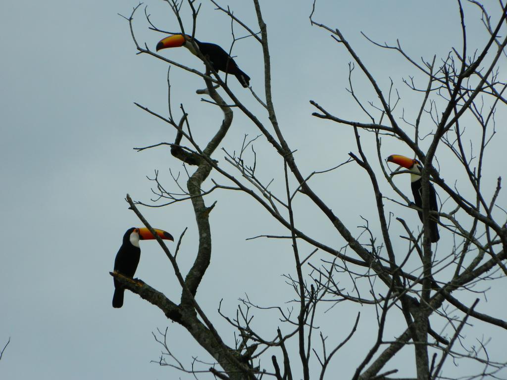 Pousada Nova Estancia Socorro  Kültér fotó