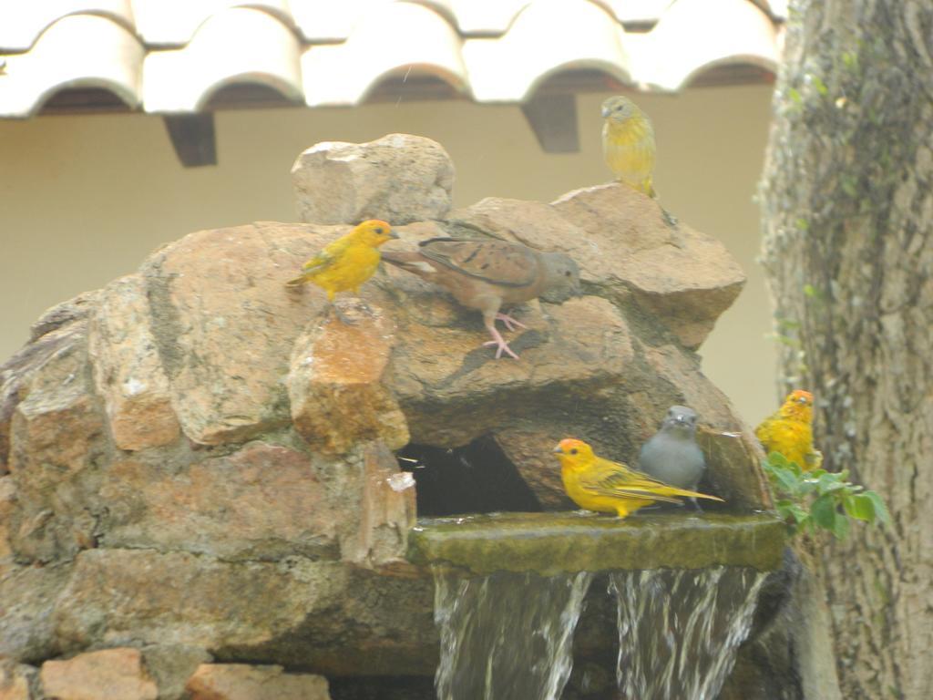 Pousada Nova Estancia Socorro  Kültér fotó