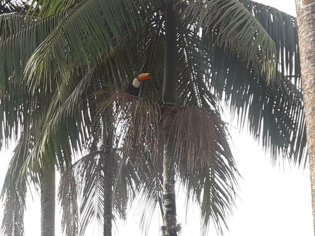 Pousada Nova Estancia Socorro  Kültér fotó